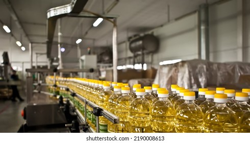 Factory for the production of edible oils. Shallow DOFF. Ukraine