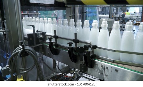 Factory and research concept. Clip. Bottles with white substance standing on manufacturing facility going to be twisted. Bottles in line on conveyor belt. Production process