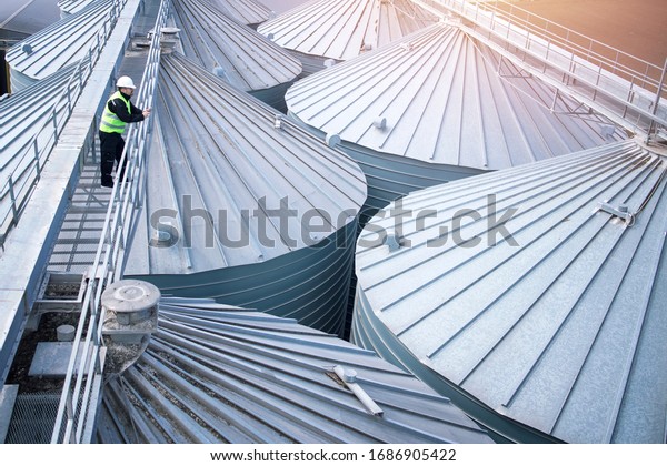 Factory worker in protective clothes walking on\
grain elevator and observing silos rooftops. Industrial food and\
grain storage.