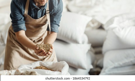 Factory worker, startup, brewer and small business. Millennial brewery owner or worker in apron holds wheat or barley grains in hands and enjoys aroma in warehouse with white sacks, cropped, panorama