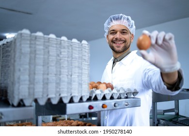 Factory Worker In Sterile Clothing, Hairnet And Hygienic Gloves Holding An Egg And Working On Sorting And Packaging Industrial Machine. Preparing Food For Distribution And Sale.