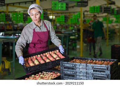 799 Peach factory Images, Stock Photos & Vectors | Shutterstock