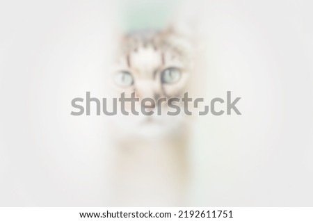 Faded blurred image in off white and some brown color from a blurred defocused photo for use as background or backdrop with space for runaround or wraparound text 