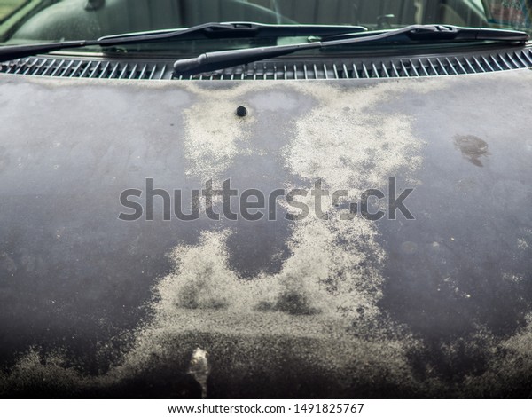 Faded car paint,\
peeling paint surface, Vehicles with peeling marks, used paint car\
by sun moon and weather\
rust