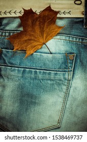 Faded Maple Fallenleaf Sticking Out From Blue Jeans Back Pocket