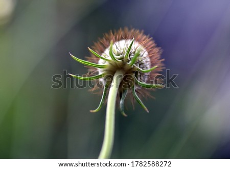 Similar – Image, Stock Photo And once again the three friends…