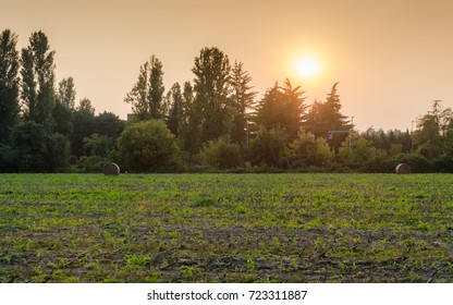 Failed Crops On Field Against The Sky (armageddon Theme)