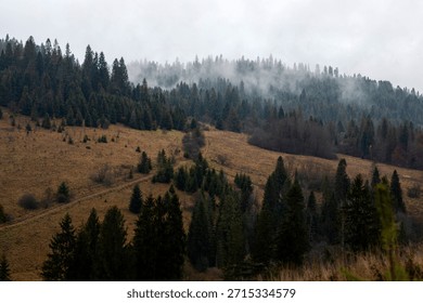 Faint clouds hovering above the mountain hills covered with trees, mix of green pine trees and brown grass under gray skies