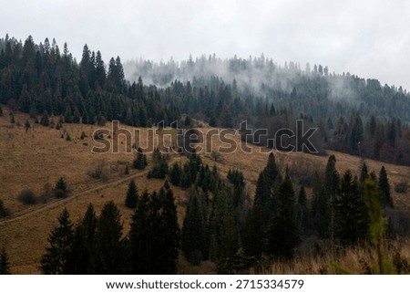 Faint clouds hovering above the mountain hills covered with trees, mix of green pine trees and brown grass under gray skies