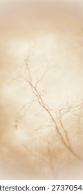 Faint patterns, like a dream.