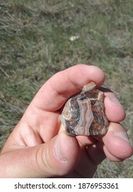 Fairburn Agate Found On Buffalo Gap Grasslands.