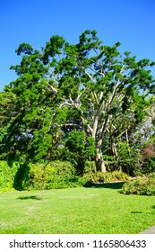 Fairchild Tropical Botanic Garden