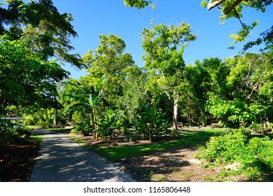 Fairchild Tropical Botanic Garden