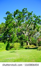 Fairchild Tropical Botanic Garden