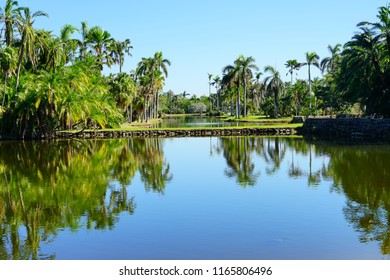 Fairchild Tropical Botanic Garden