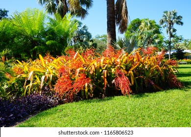 Fairchild Tropical Botanic Garden