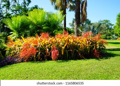 Fairchild Tropical Botanic Garden