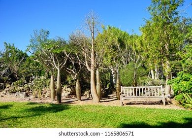 Fairchild Tropical Botanic Garden