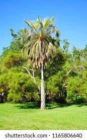 Fairchild Tropical Botanic Garden