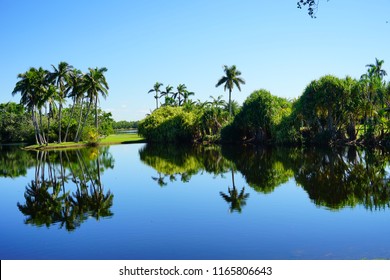 Fairchild Tropical Botanic Garden