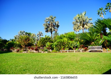 Fairchild Tropical Botanic Garden