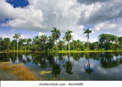 Fairchild Tropical Botanic Garden, FL, USA