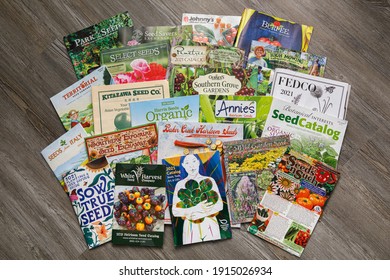 Fairfax, VA USA - February 11, 2021:Group of seed catalogs from a variety of companies advertising their products for 2021