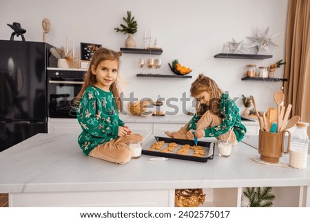 Similar – Image, Stock Photo Twins preparing holiday cookies in festive kitchen