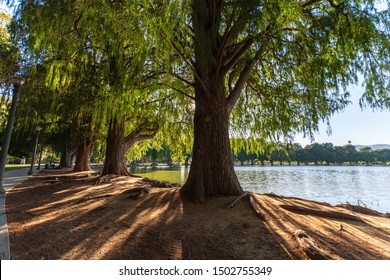 Fairmount Park, Riverside Southern California