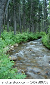 Fairy Creek In The Bridger Mountains Of Montana