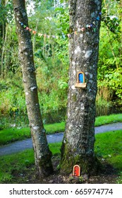 Fairy Door