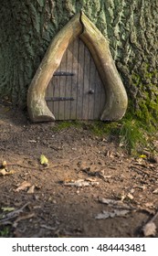 Imagenes Fotos De Stock Y Vectores Sobre Tree Door