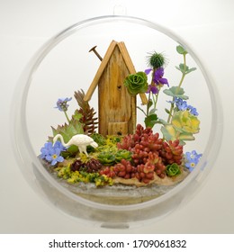 Gemüsegarten mit Miniatur-Blumen und Sukkulturen mit einem Hobbyhaus in einer natürlichen Anordnung in einem Kunststoffball mit Recycling-Holz 