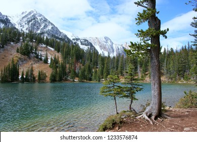 Fairy Lake In The Bridger Mountains Of Montana