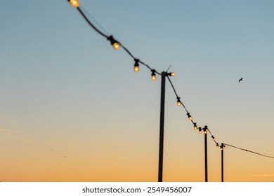 Fairy lights with illuminated light bulbs. Clear sky, sunset, summer. - Powered by Shutterstock