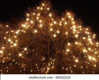 118,805 Fairy lights in tree Images, Stock Photos & Vectors | Shutterstock