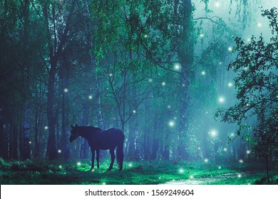 enchanted forest wallpaper stock photos images photography shutterstock https www shutterstock com image photo fairy mysterious forest fireflies enchanted mystical 1569249604