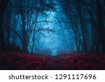 Fairy Mysterious Forest. Mystical atmosphere. Paranormal another world. Stranger forest in a fog. Dark scary park with red leaves. Background for wallpaper.
