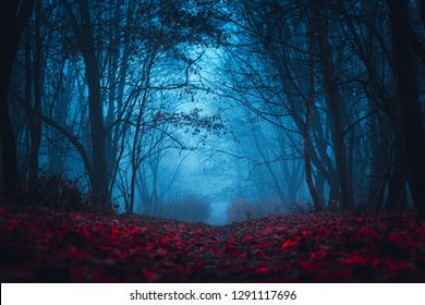 Fairy Mysterious Forest. Mystical atmosphere. Paranormal another world. Stranger forest in a fog. Dark scary park with red leaves. Background for wallpaper. - Shutterstock ID 1291117696