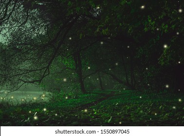 Fairy Mysterious Forest. Mystical atmosphere. Paranormal another world. Stranger forest in a fog. Background wallpaper. Fairytale forest with alien glow. Fireflies in the enchanted forest