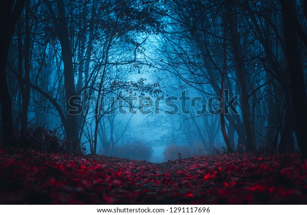 妖精の謎の森 神秘的な雰囲気 超常的な別の世界 霧の中の見知らぬ森 赤い葉を持つ暗い怖い公園 壁紙の背景 の写真素材 今すぐ編集