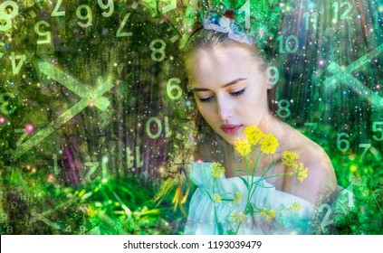 Fairy In Numerology World