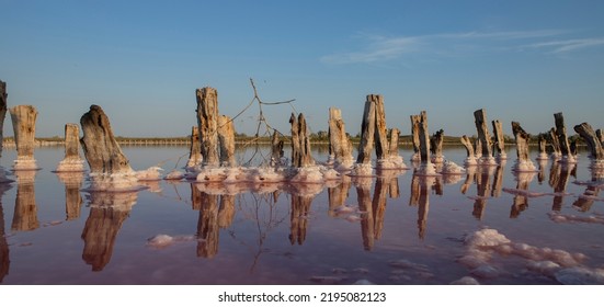 Fairy Pink Lake Used For Salt Extraction