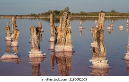 Fairy Pink Lake Used For Salt Extraction