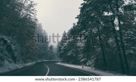 Fairy tale road through the frozen forest from the mountains. Asphalt cleared of snow in the winter season in a foggy day