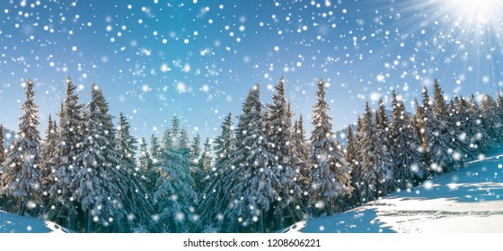 Fairy tale winter landscape. Pine trees with snow and frost on mountain slope lit by bright sun rays on blue sky and falling snowflakes copy space background. Happy New Year and merry Christmas card. - Shutterstock ID 1208606221