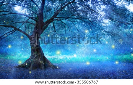 Fairy Tree In Mystic Forest
