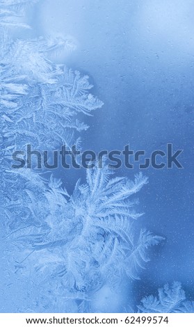 Foto Bild Eisblumen Eiskristall