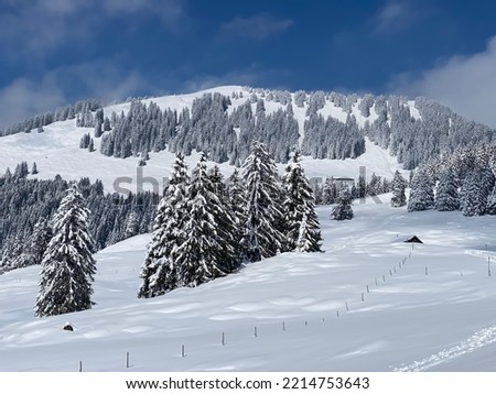 Similar – winter landscape Forest