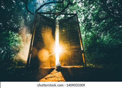 The fairytale door with back light in the mystic forest. White rabbit sit between the door. - Shutterstock ID 1409033309